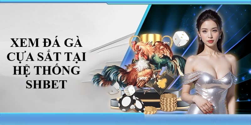 Đá gà cựa sắt đem đến cho người xem nhiều sự thích thú