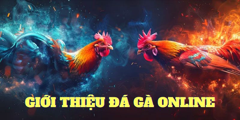 Loại hình chọi kê online yêu thích nhất